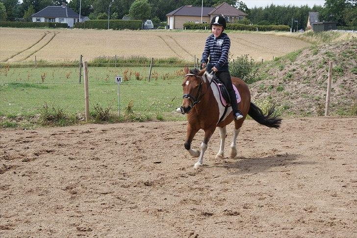 Anden særlig race • Wendy Van Wanten • RIP 31/1-10 • - Undervisning hos Karina. billede 7