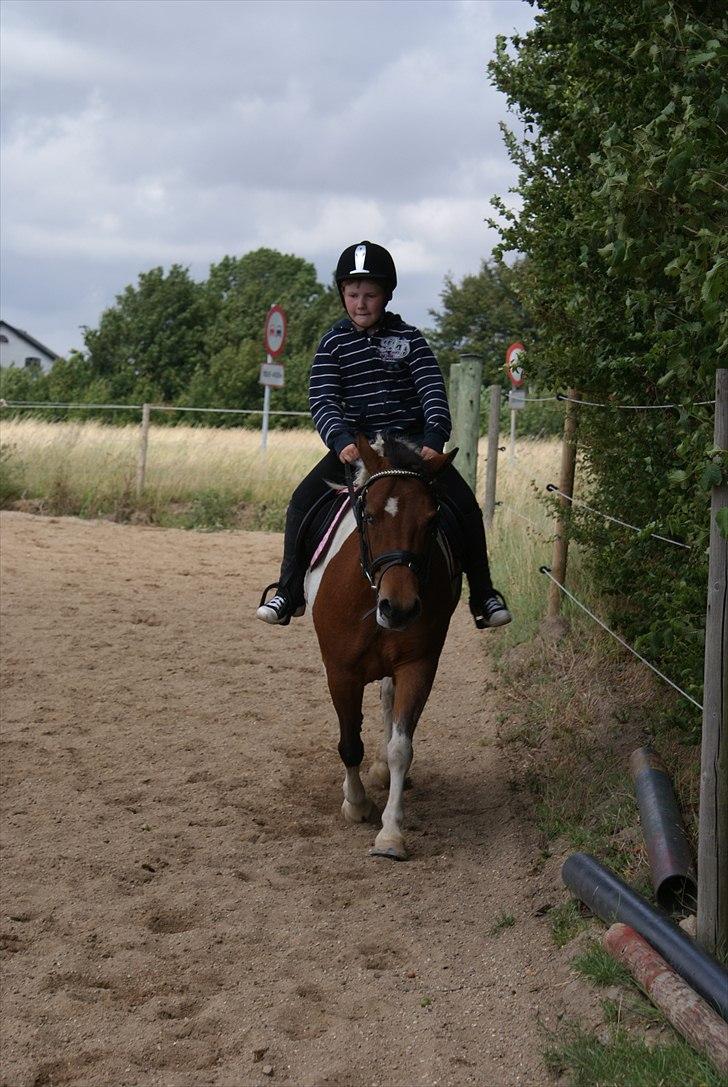 Anden særlig race • Wendy Van Wanten • RIP 31/1-10 • - My angel billede 8
