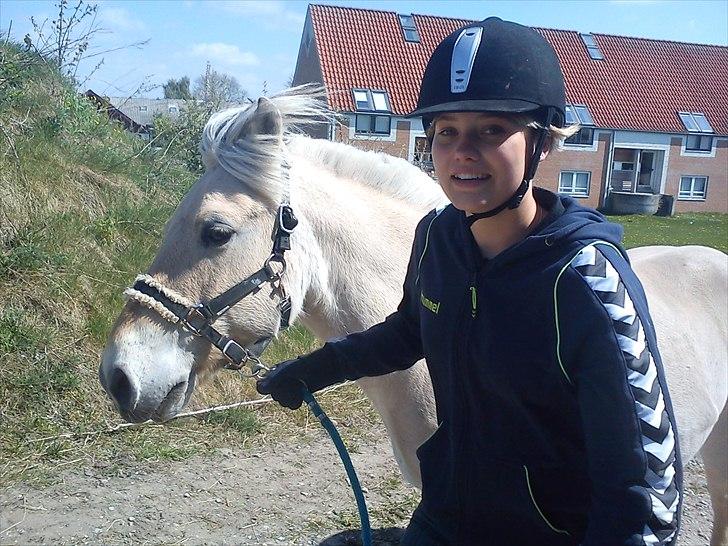 Fjordhest Tjalfe - Den Tapre Sømand - "Veeent Sabina, jeg må ha´ græs!" :) billede 9