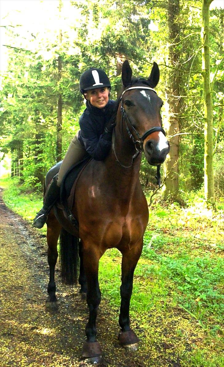 Oldenborg Gunnihus Nino billede 18