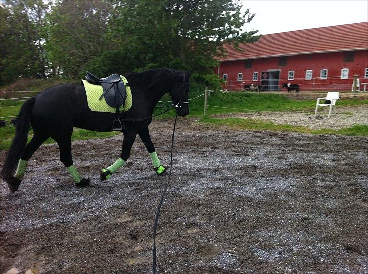 Frieser WHISPER GIRL <3 * solgt og savnet * billede 14