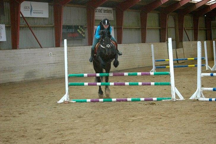 Frieser Golda - Spring undervisning billede 10