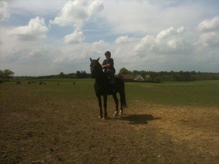 Oldenborg bastian billede 12
