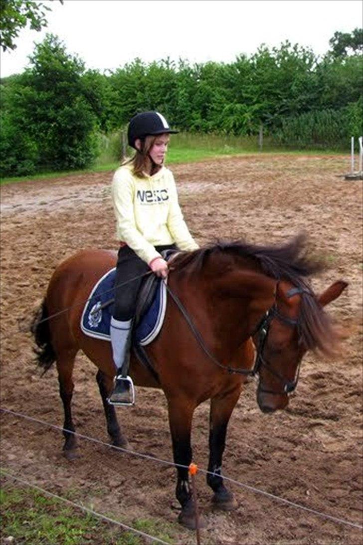 Anden særlig race Lotte R.I.P 19/10  - Anden gang jeg rider hende (; <3 billede 16