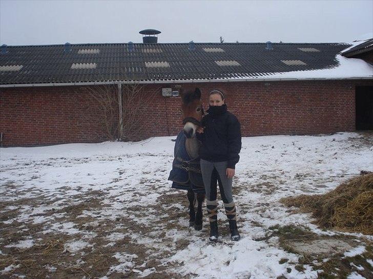 Gotlandsruss Bobbi SOLGT <3 - Mig og Bobbi inden han skal på fold :-)<3 billede 3