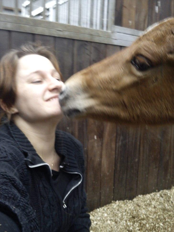 Anden særlig race Wisdoms Ameera ''SOLGT* - Kysser dig lige :o) (16 maj 2011) billede 16