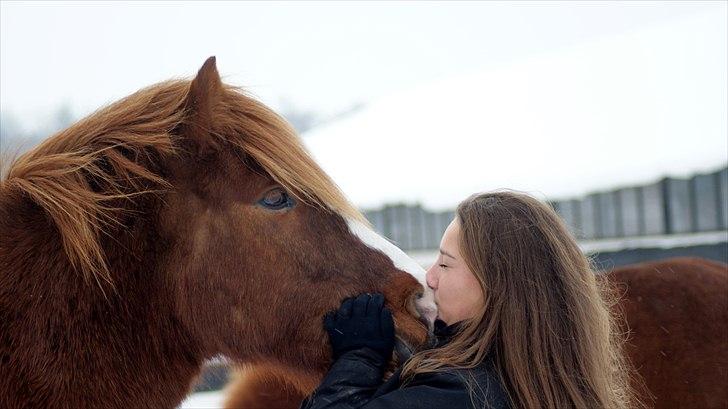 Islænder Júpiter Fra Agri - februar 11 billede 10