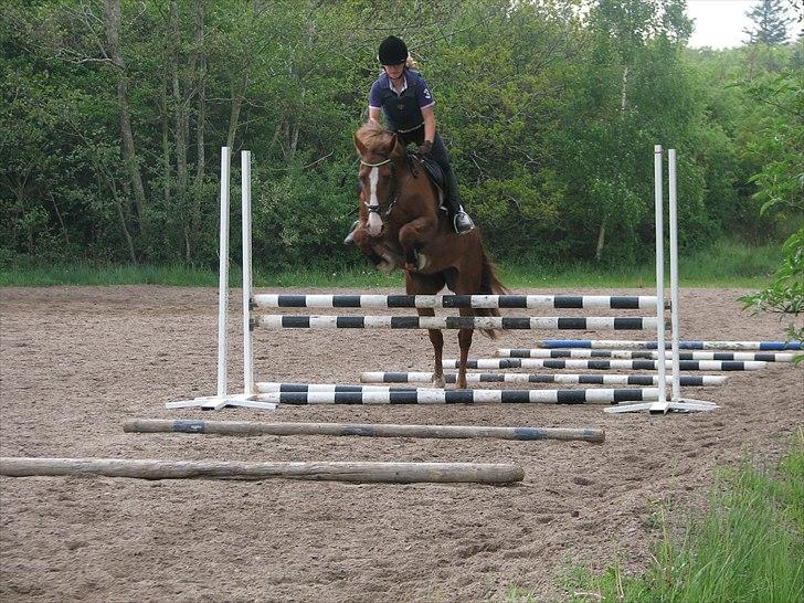 Frederiksborg Frederikke - mig og frede til springtræning den 18/5  billede 1