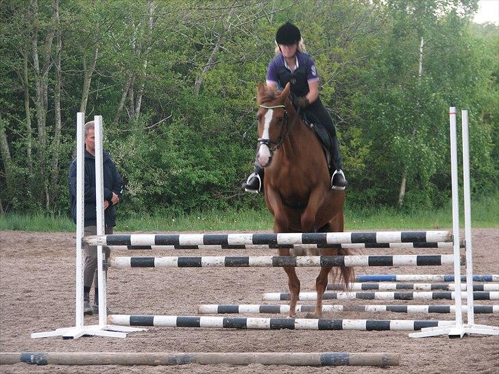 Frederiksborg Frederikke - springer bomb, momb, momb, momb, okse, momb, momb.  billede 3