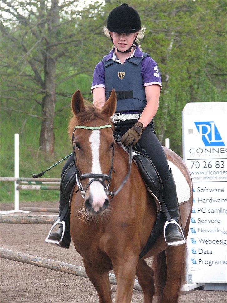 Frederiksborg Frederikke - jeg har holdt en lang pause med hende i spring fordi hun har været lidt sur og trist men nu er hun super glad igen billede 4