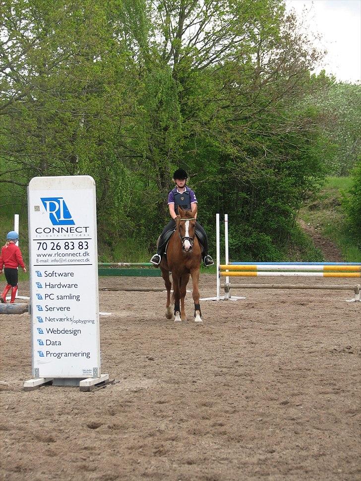 Frederiksborg Frederikke billede 5
