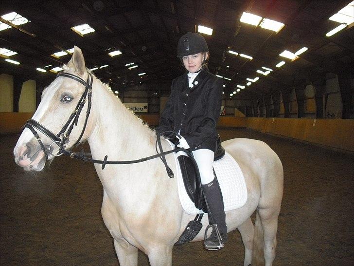 Palomino Isabella - love isabella<3 billede 2