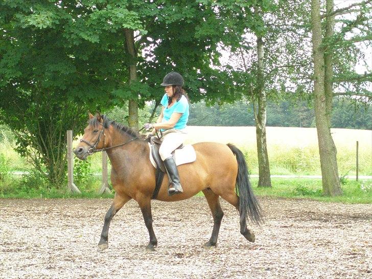 Anden særlig race Wendy - Ja, kom så op mor.. billede 1