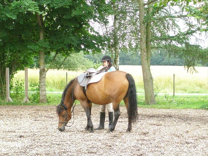 Anden særlig race Wendy - Mm.. Dufter godt, og prøver da slet ikke at puste mig op ;o) billede 2