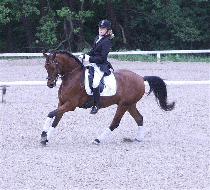 Tysk Sportspony Dark Shadow - Mig og blom til stævne på svendborg rideklub vi vandt med 66% foto: Anja Andersen :D billede 3