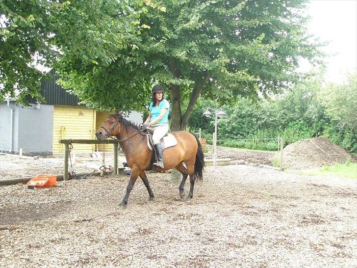 Anden særlig race Wendy - Hallo... Det er mig der skal have opmærksomheden!! ;o) billede 3