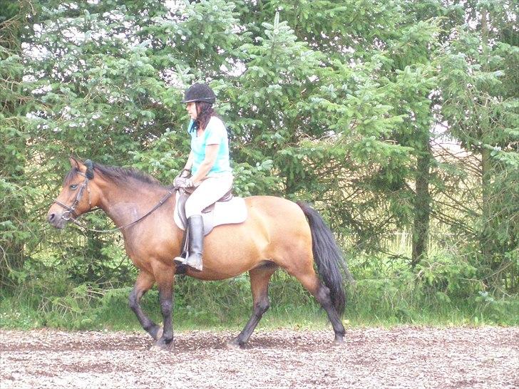 Anden særlig race Wendy - Kom så, kom såååå :o) billede 5