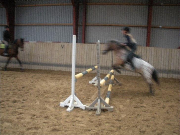 Appaloosa Pippi [Drømmeponyen] - 80 cm tror jeg :D <3 billede 15