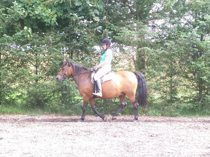 Anden særlig race Wendy - Frem addd.... billede 6