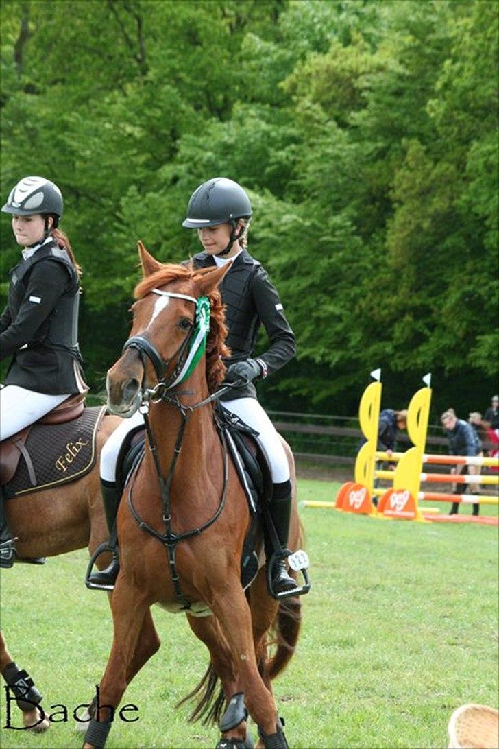 Irsk Sportspony Rivertown's Rose - Distrikt stævne - Vasehus.
præmieoverrækkelse la** blev nr.3 <3 billede 4