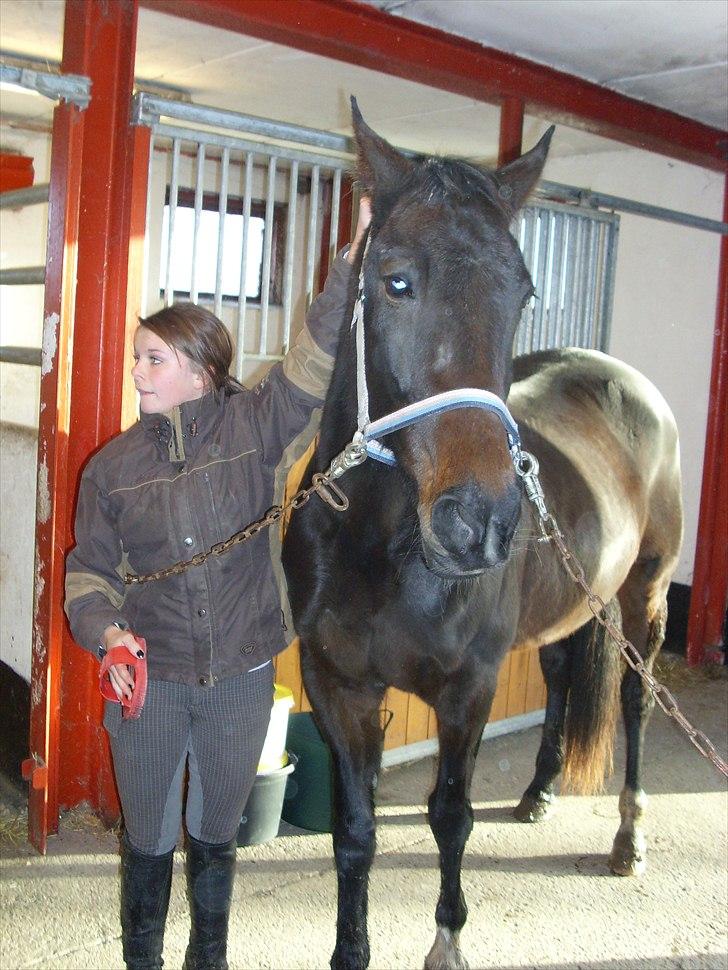 Traver April Dalimo - oktober 2010  billede 4