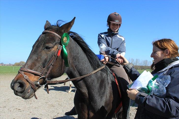 Traver April Dalimo - 4. plads i dressur billede 5