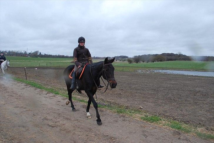 Traver April Dalimo billede 9