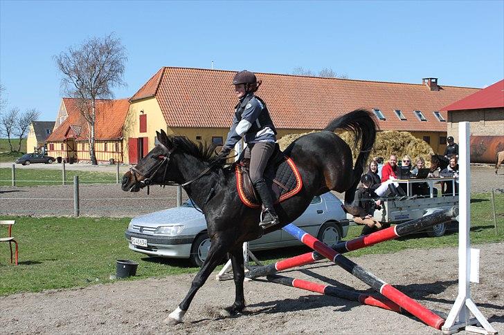 Traver April Dalimo - Man skal ikke sige at hun ikke kan løfte bagbenene ;) billede 11