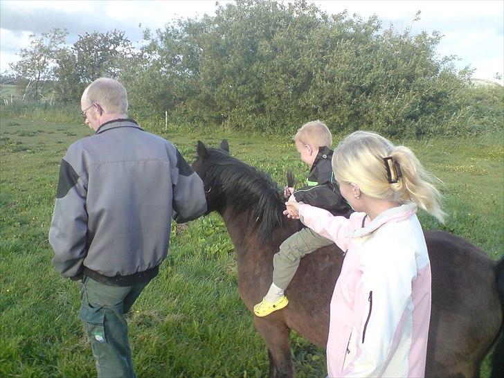 Anden særlig race Maika - Solgt billede 12