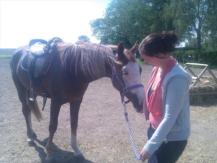 Anden særlig race Güzel billede 13