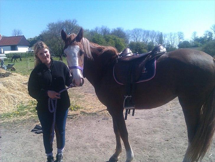 Anden særlig race Güzel billede 15