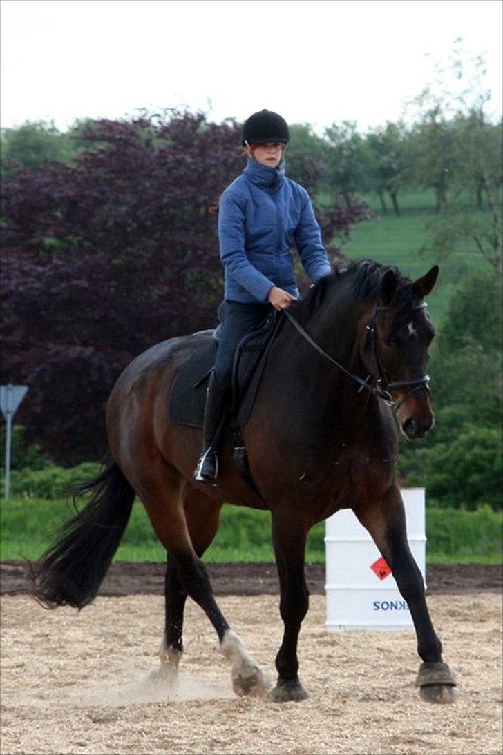 Oldenborg Amarone (KÆMPEN) - mig og bassen :) foto : Nina schmølz billede 18
