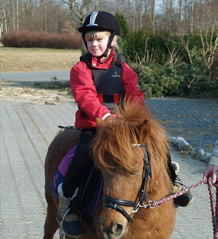 Anden særlig race Stjerne billede 8