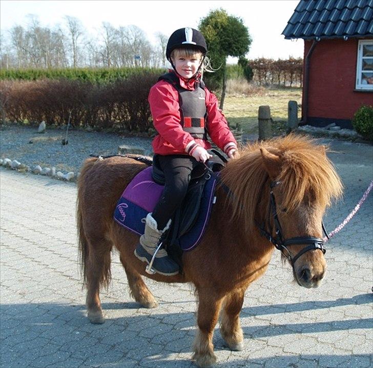 Anden særlig race Stjerne billede 9