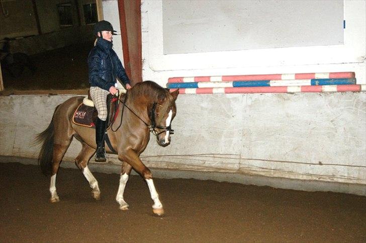 DSP Laban. - Laban og jeg <3 billede 13