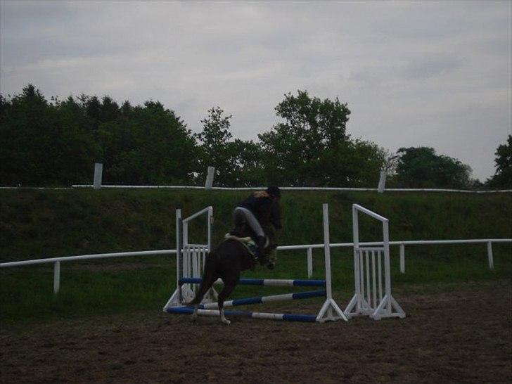 DSP Laban. - Laban og jeg springer (en af de første gange) billede 14