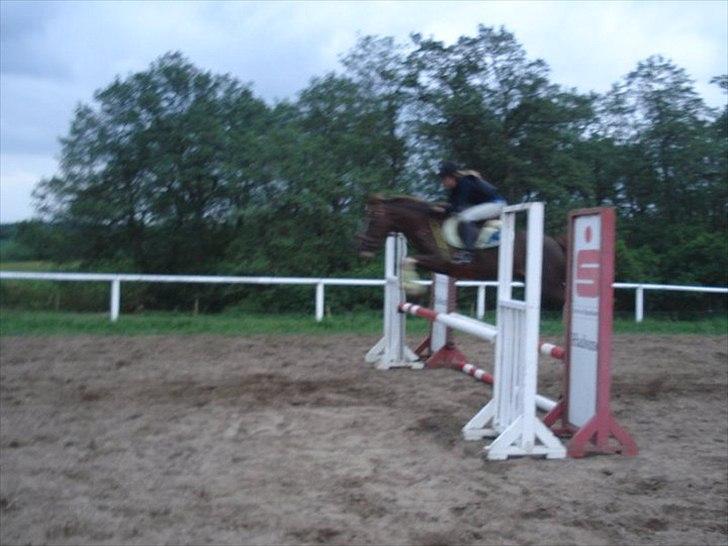 DSP Laban. - Laban og jeg springer (en af de første gange) billede 15