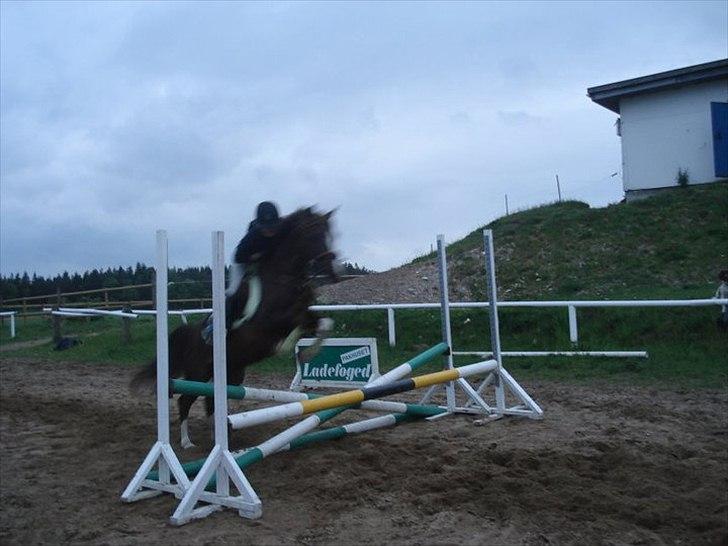 DSP Laban. - Laban og jeg springer (en af de første gange) billede 16