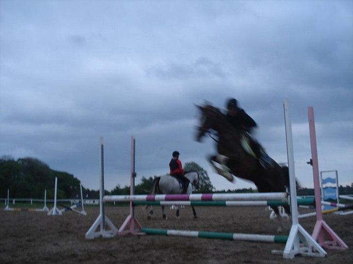 DSP Laban. - Laban og jeg springer (en af de første gange) billede 17