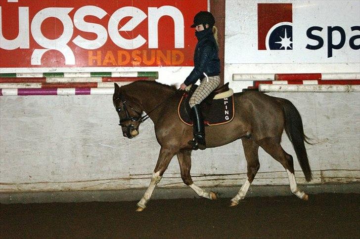 DSP Laban. billede 20