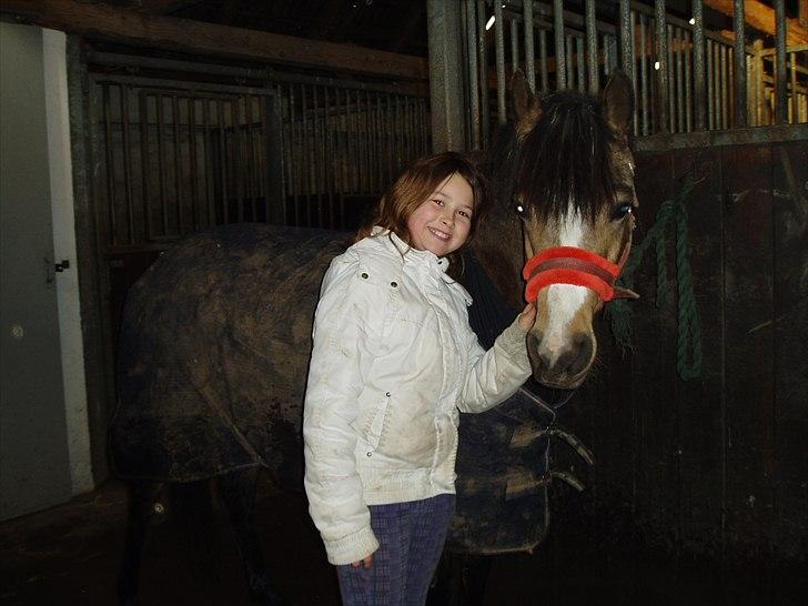 Anden særlig race Damgårds Maggie billede 9