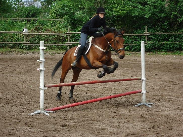 Dansk Varmblod Stald Kelon`s Lerano - Lerano & jeg igang md spring efter næsten 4 år 19/5 - 2011 billede 11