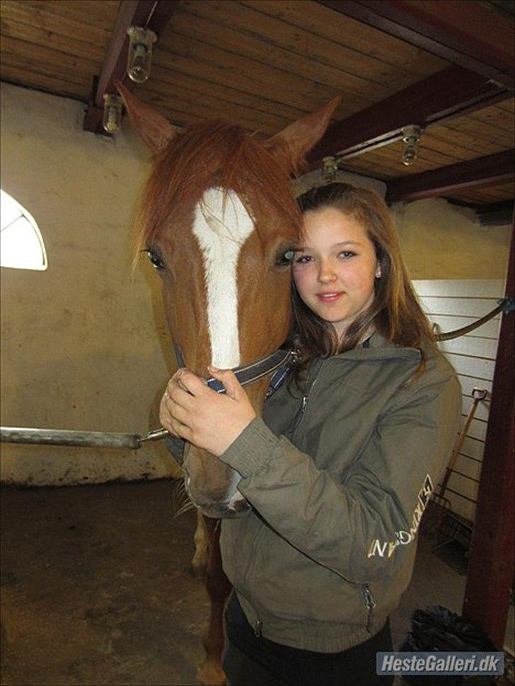 Fransk Varmblod Pickpocket - Pocket og min Datter Katrine :) billede 9