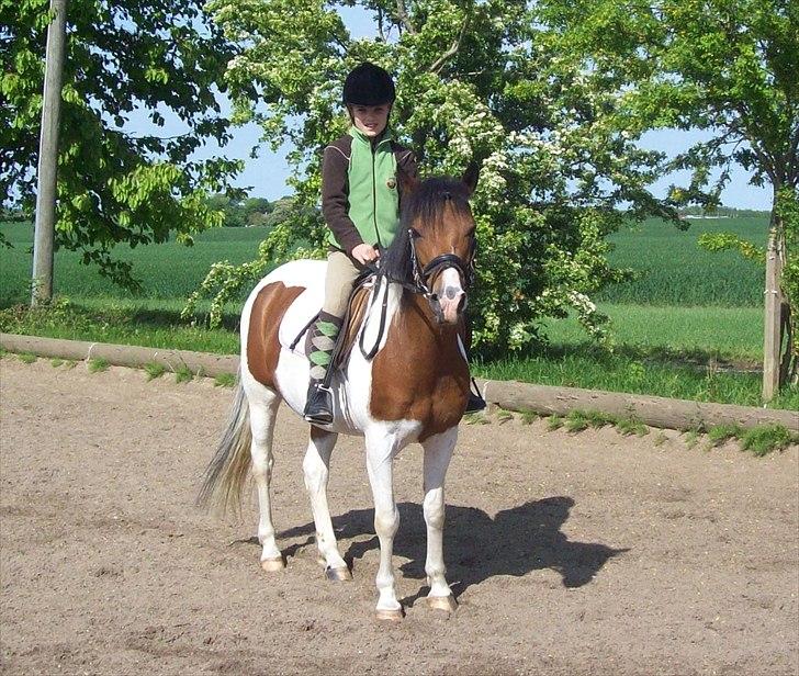 Anden særlig race Pretty<'3 - SOLGT billede 8