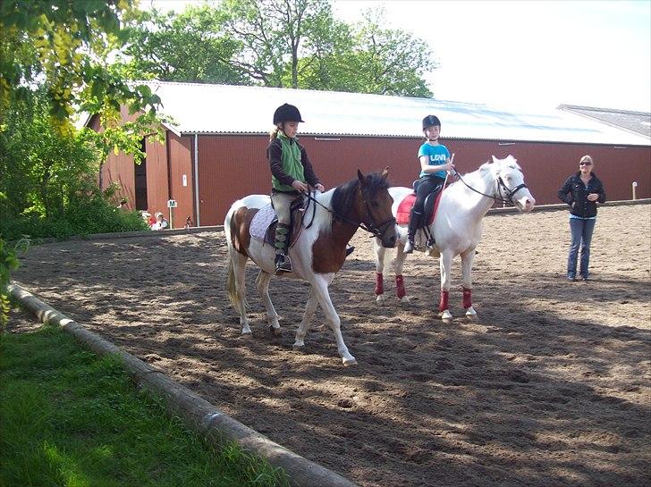 Anden særlig race Pretty<'3 - SOLGT billede 15