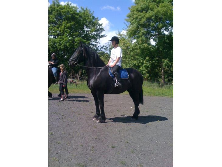 {{currentPhoto.altText}} billede {{currentPhoto.number}}