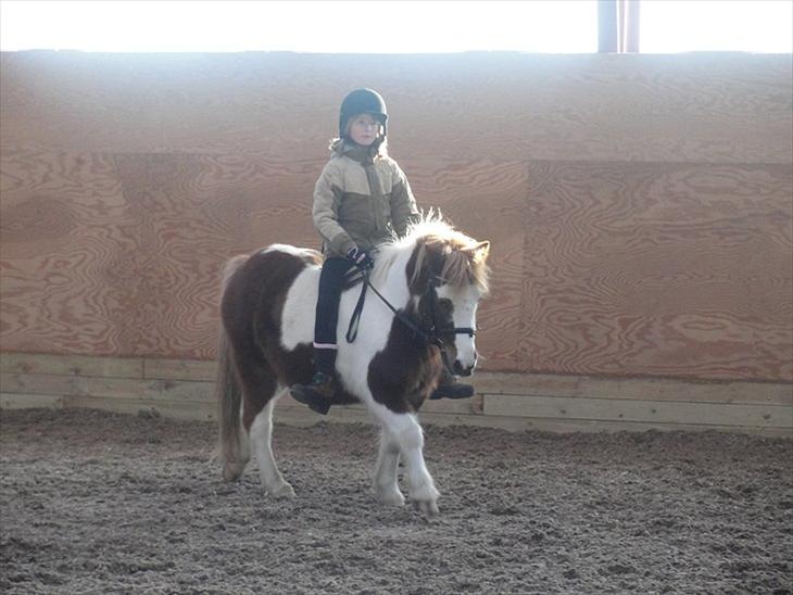 {{currentPhoto.altText}} billede {{currentPhoto.number}}