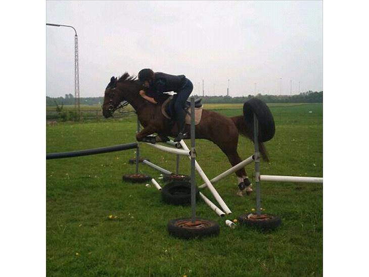 {{currentPhoto.altText}} billede {{currentPhoto.number}}