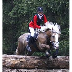 Haflinger Max 