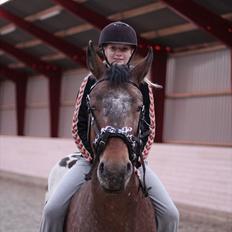 Anden særlig race Free Achak